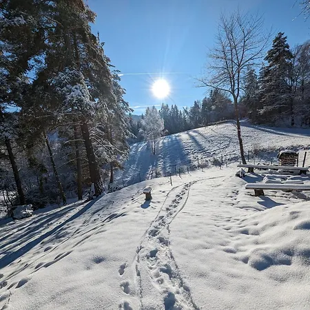 Danova Svata Mari