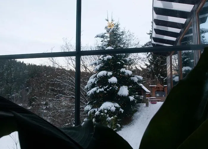 Danova Svata Mari